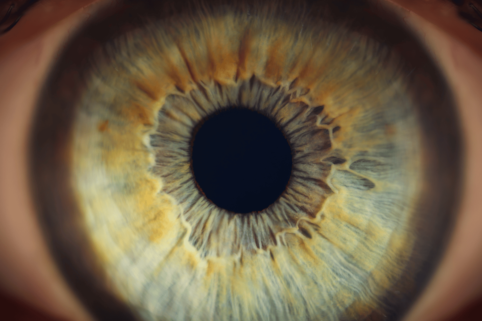 Tvoje telo ne traži savršenstvo — traži ravnotežu